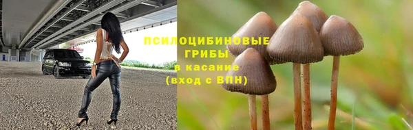 PSILOCYBIN Верхний Тагил