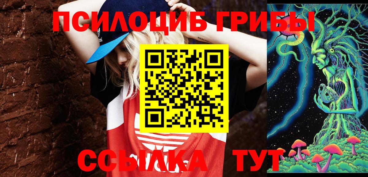Вольск  Псилоцибиновые грибы MAGIC MUSHROOMS  Вход с VPN 